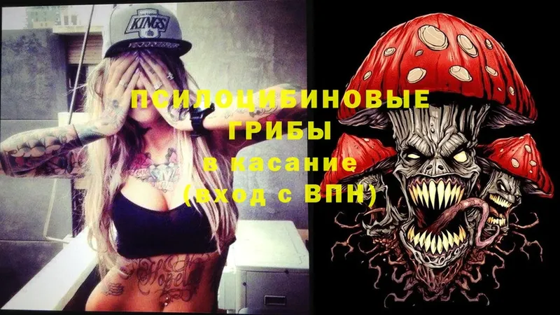 где найти   Белогорск  Галлюциногенные грибы Magic Shrooms 